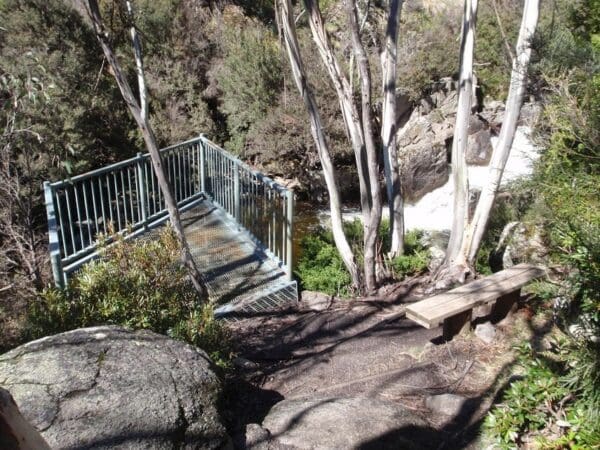 Bridle Trail Loop Walk (2.9km) Thredbo to cascades lookout return 1 600x450