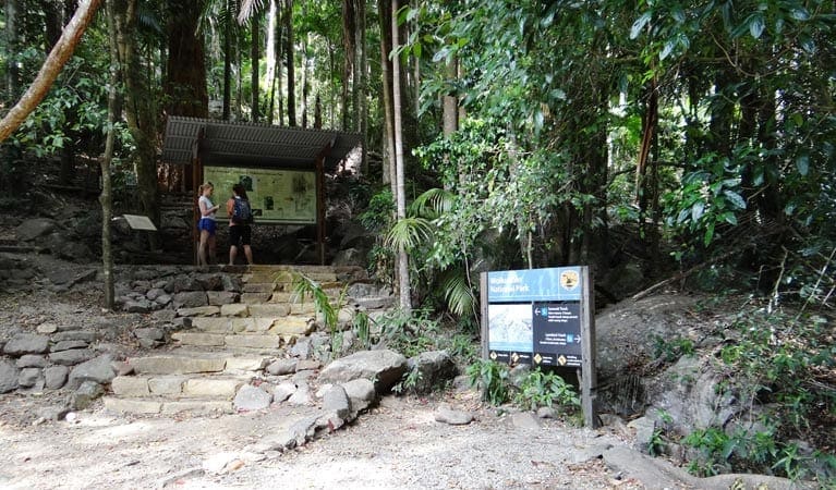 Wollumbin Mount Warning summit track Trail Hiking Australia