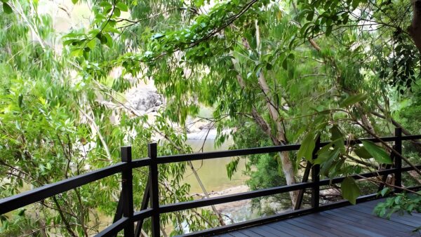 Alligator falls track (17km)