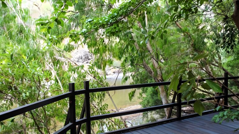 Alligator Falls Track (17km) Alligator falls track (17km)