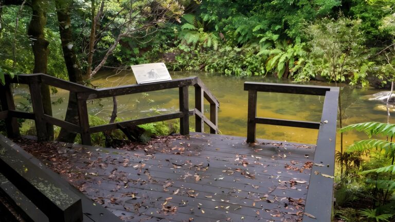 Coombadjha Nature Stroll Walk (1.4km) Coombadjha nature stroll walk (1. 4km)