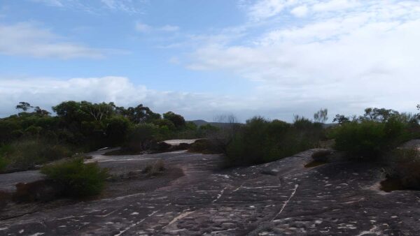 Elvina bay aboriginal engraving walk (500m)