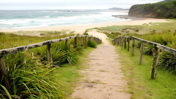 Pretty Beach to Durras Mountain Walking Track (10km) Pretty beach to durras mountain walking track (10km)