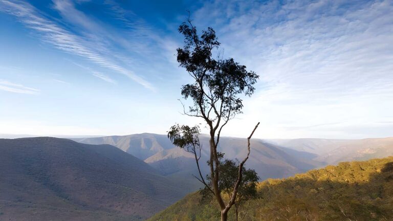 Salisbury waters walking track (17km)