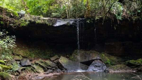 Springwood to martins falls hike (9km)