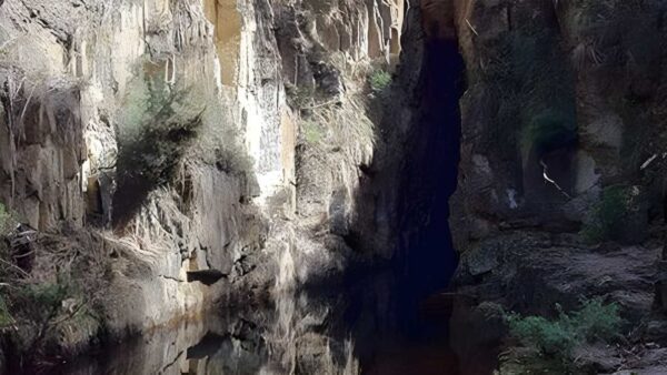 The tunnel & sardine creek hike (11. 3km)