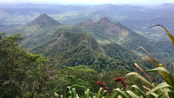 Wollumbin hike (mount warning) summit track (8. 8km)