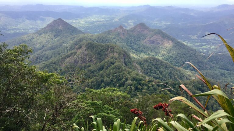Wollumbin Hike (Mount Warning) Summit Track (8.8km) Wollumbin hike (mount warning) summit track (8. 8km)