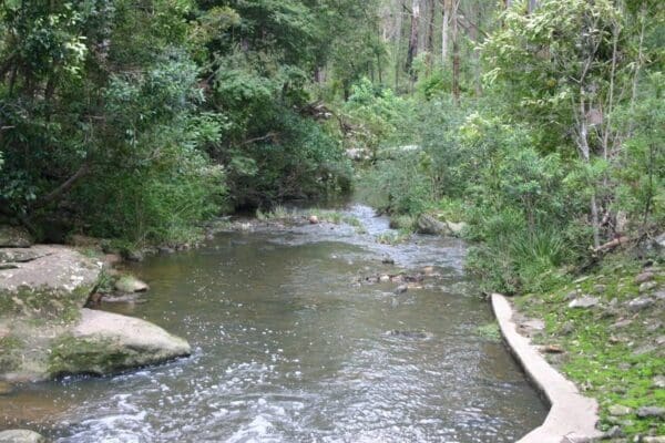 Epping to pennant hills station via lane cove river 600x400