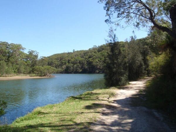 Day Hikes Australia Middle harbour creek loop 600x450
