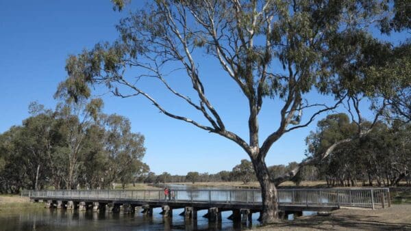 Hikes Murchison to rushworth rail trail 600x338