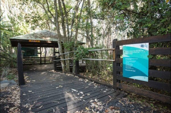 Din Din Barron Falls Lookout Track (1.2km) The kommo toera trail 600x399