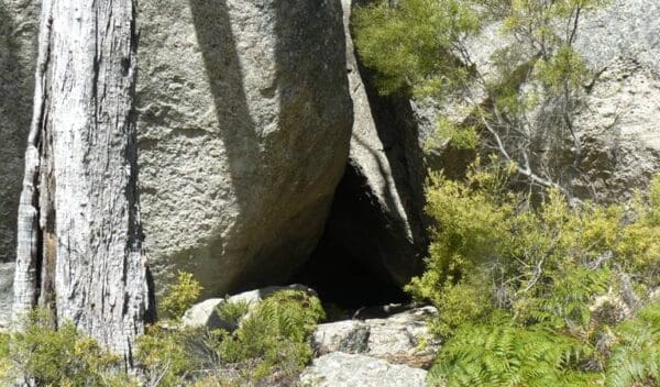 Thunderbolts lookout walking track trail hiking australia 600x352
