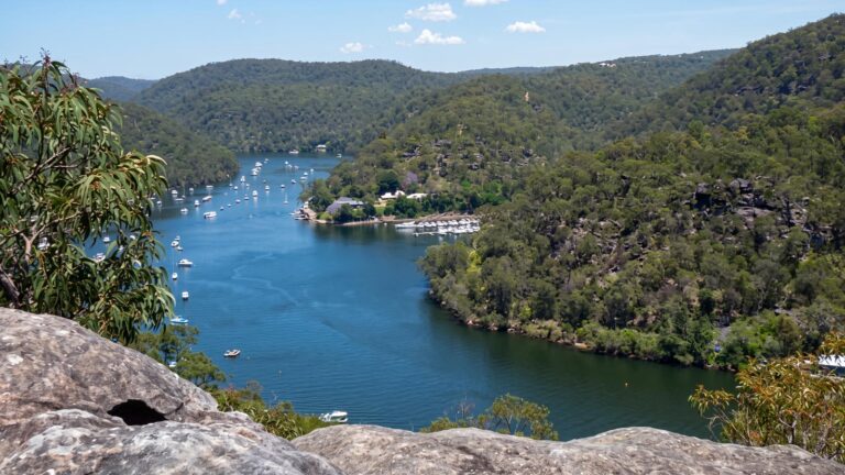Berowra Waters to Cowan Station Hike (7.2km) Berowra waters to cowan station hike (7. 2km)