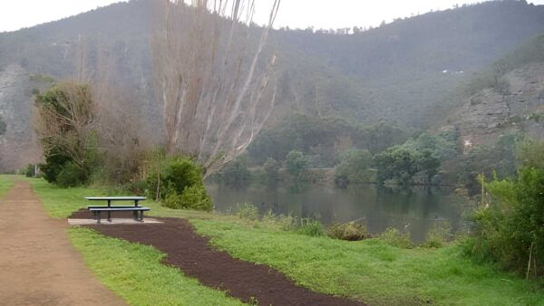 Derwent cliffs walk (4km)