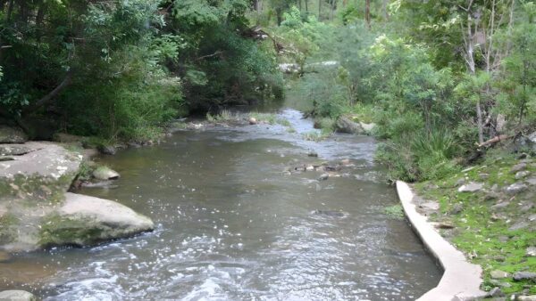 Epping to pennant hills station - lane cove river hike (8. 4km)