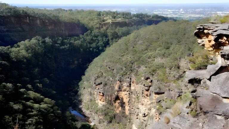 Glenbrook Gorge Track (3km) Glenbrook gorge track (3km)