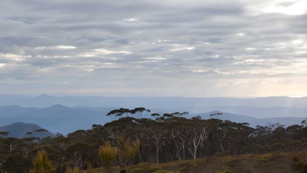 Mount Budawang Trail Walk (8km) Mount budawang trail walk (8km)