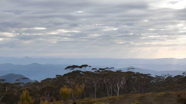 Mount Budawang Trail Walk (8km) Mount budawang trail walk (8km)