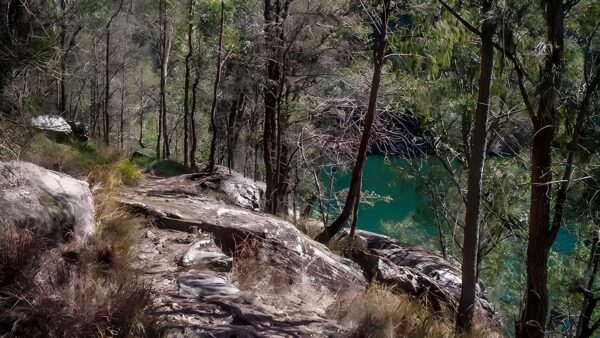 Mount ku-ring-gai track to berowra station hike (10km)