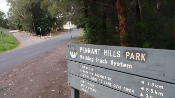 Pennant hills park loop - lane cove river hike (8. 2km)