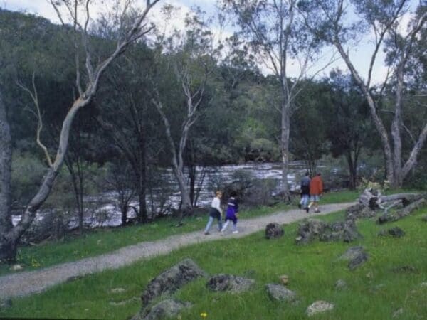 Echidna trail 600x450