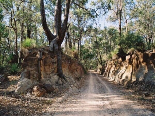 Bibbulmun Track Hike (1,000km) Kep track 600x450