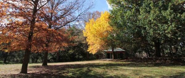 Pine island to point hut crossing 600x254
