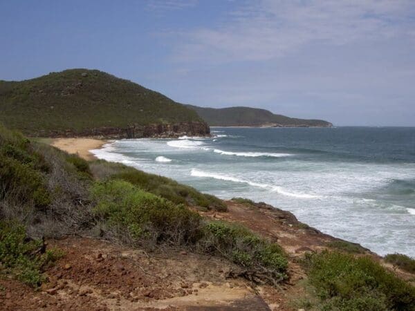 Tallow beach and box head 600x450