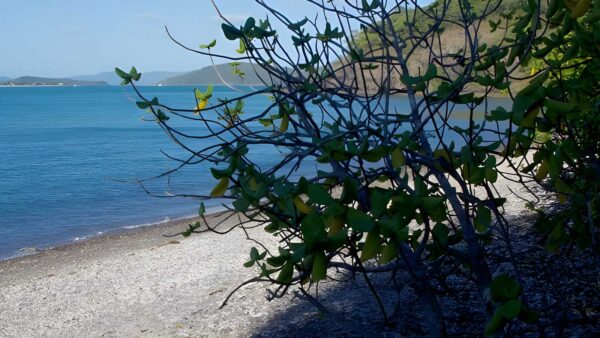 Coastal fringe & hayward gully walk (3km)