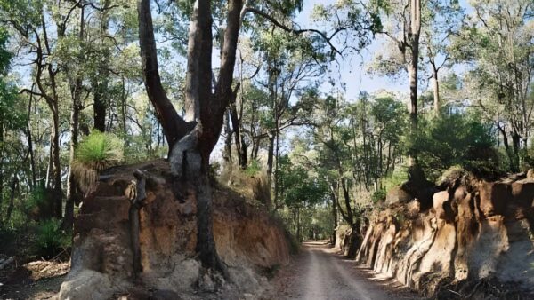 Kep Track (75km) Kep track (75km)