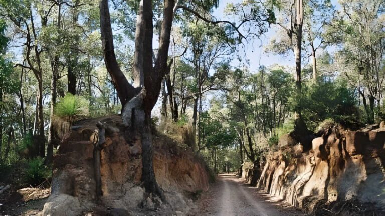 Kep track (75km)