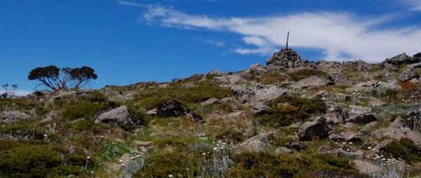 Derrick Hut via Mount Loch Hike (10km) Mt loch 600x254