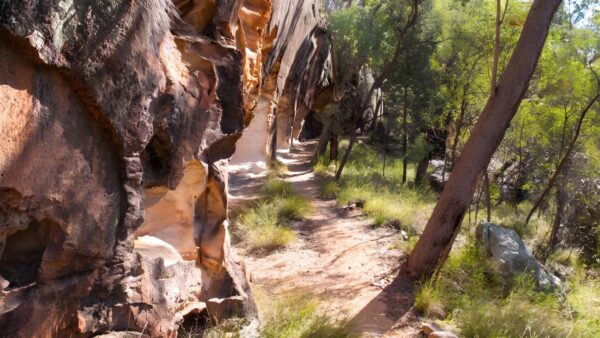Sandstone Caves Walking Track (1.7km) Sandstone caves walking track (1. 7km)