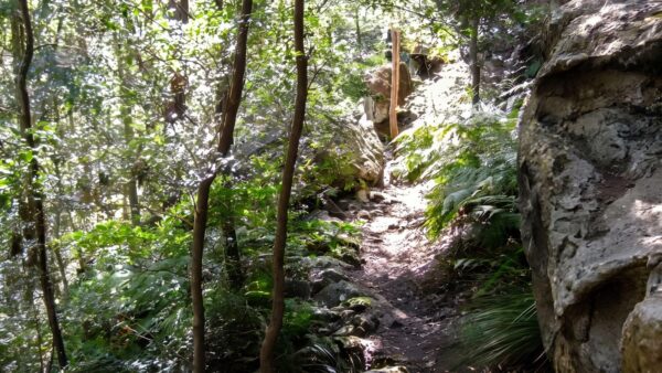 She-oak crossing walk (3. 9km)