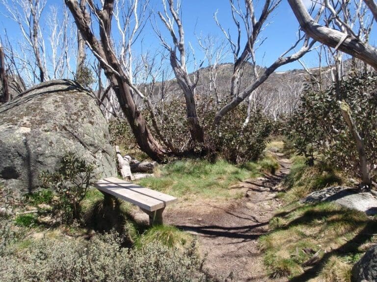 Dead horse gap and thredbo river loop 768x576