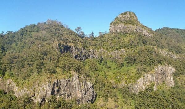 Wollumbin Hike (Mount Warning) Summit Track (8.8km) Goorgana walking track trail hiking australia 600x352