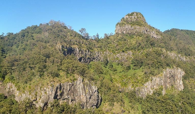 Goorgana walking track Trail Hiking Australia