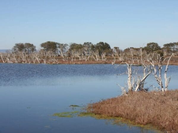 Nature trail 600x450