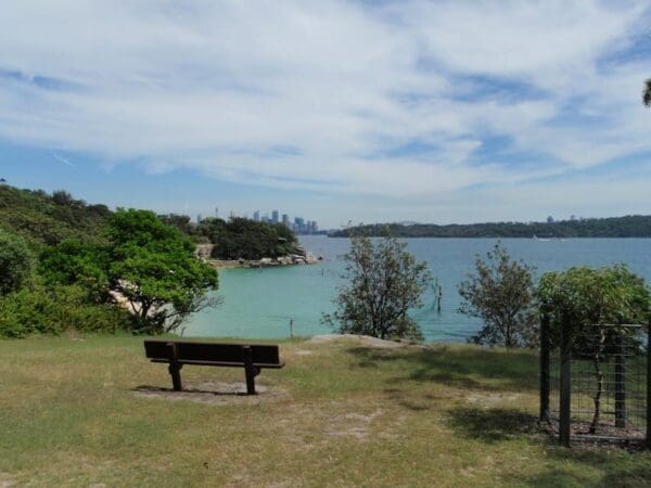 Shakespheres point loop 600x450