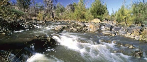 Hikes Tongs hole 600x254