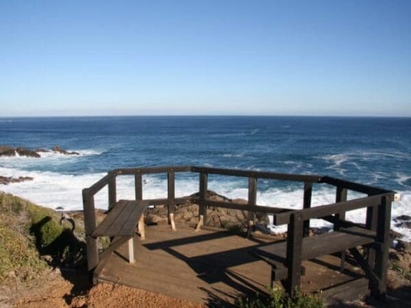 Torpedo trail 600x450