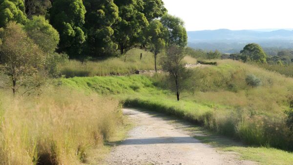 Loop Trail Walk (2.5km) Loop trail walk (2. 5km)