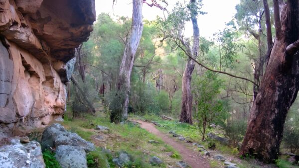 The Drip Walking Track (2.8km) The drip walking track (2. 8km)