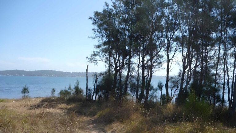 The green point walk (3km)