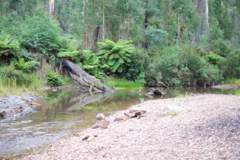 Aberfeldy River Hike (7.2km) Trail hiking aberfeldy river 8km 768x511