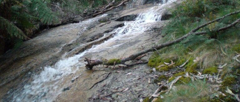 Trail hiking mount buangor walk 9 5km 768x326