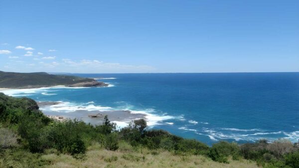 Wybung head whale viewing area walk (100m)