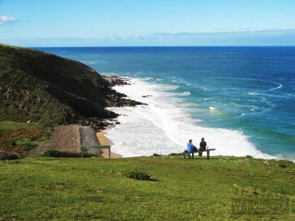 Boat Harbor Hike (7.8km) Boat harbor circuit hike 600x450