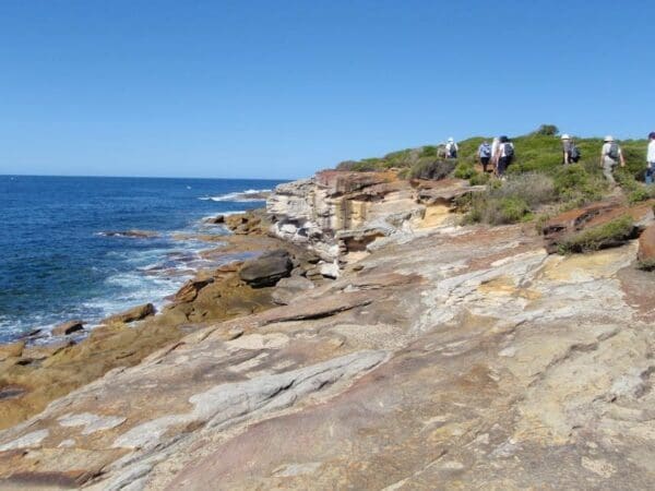 Bundeena to Marley Head Hike (12km) Bundeena to jibbon head circuit 600x450